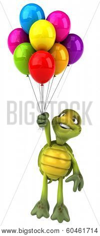 Turtle