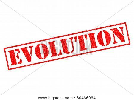 Evolution