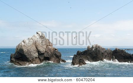 Rock Formation With Some Birds At Seven Islands
