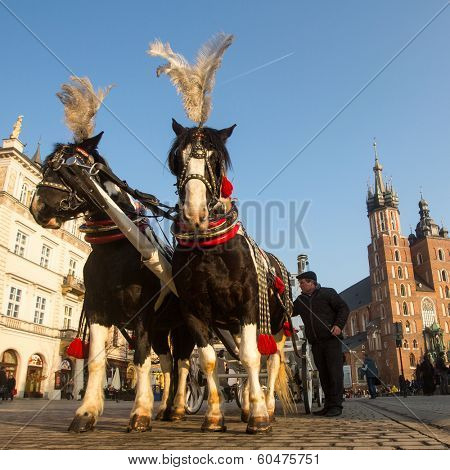 KRAKOW, POLAND - FEB 26, 2014: Carriages at Main Market Square. It dates to the 13th century, and at roughly 40,000 m it is the largest medieval town square in Europe.