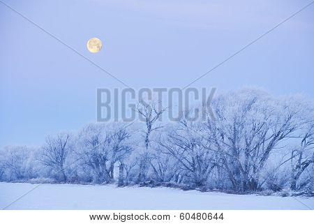 Winter Moonset