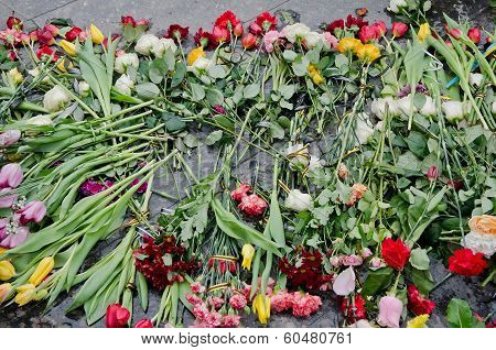 Flowers In Honor Of Those Killed In The Maidan In Kiev