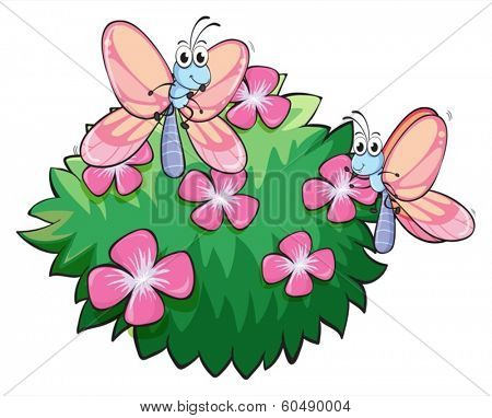 Illustration of the two butterflies near the plant with pink flowers on a white background