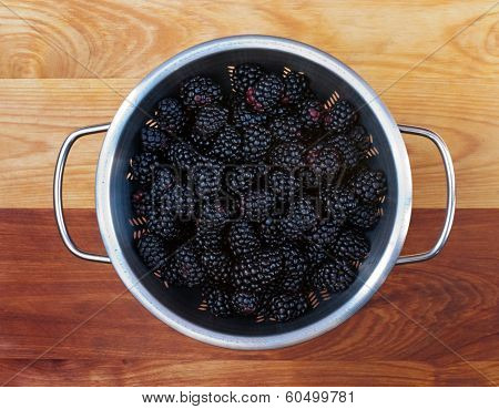Fresh Blackberry Harvest