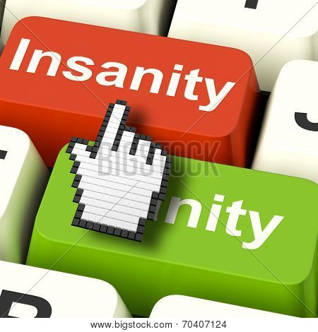 Insanity Sanity Keys Shows Sane And Insane Psychology