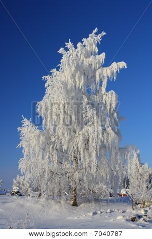 Winterscape