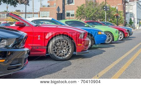 Ford Mustangs, Mustang Alley, Woodward Dream Cruise