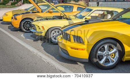 Mustangs, Mustang Alley, Woodward Dream Cruise