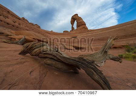 Desert Landscape Delicate Arch