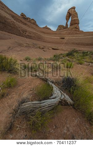 Desert Landscape Delicate Arch