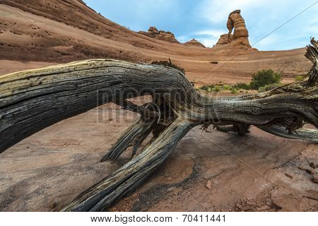 Desert Landscape Delicate Arch