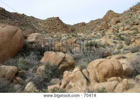 JOSHUA TREE NATIONAL PARK