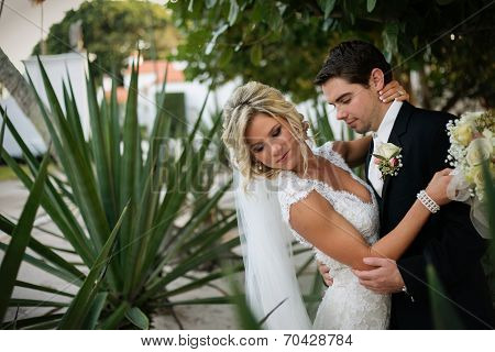 Newly Wedd