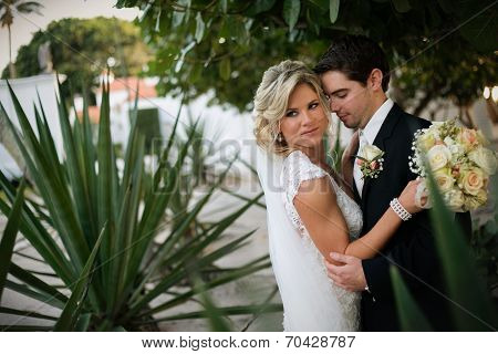 Newly Wedd