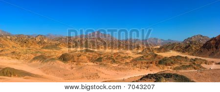 Deserto del Sinai