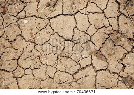 Dry Earth Texture