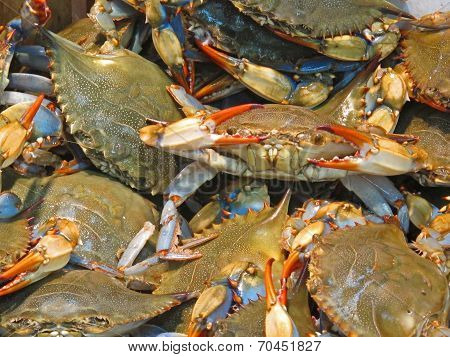 Crabby