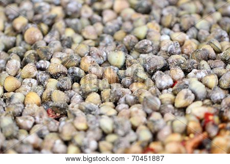 Freshwater Clams Mix With Spicy Sauce.