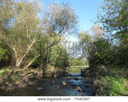 Poplar Creek y Bode lago en verano con árboles