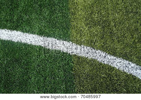 Soccer Field Grass