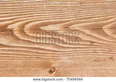 Wood Texture