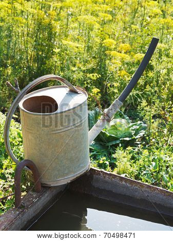 Watering Can On Basin With Water For Garden
