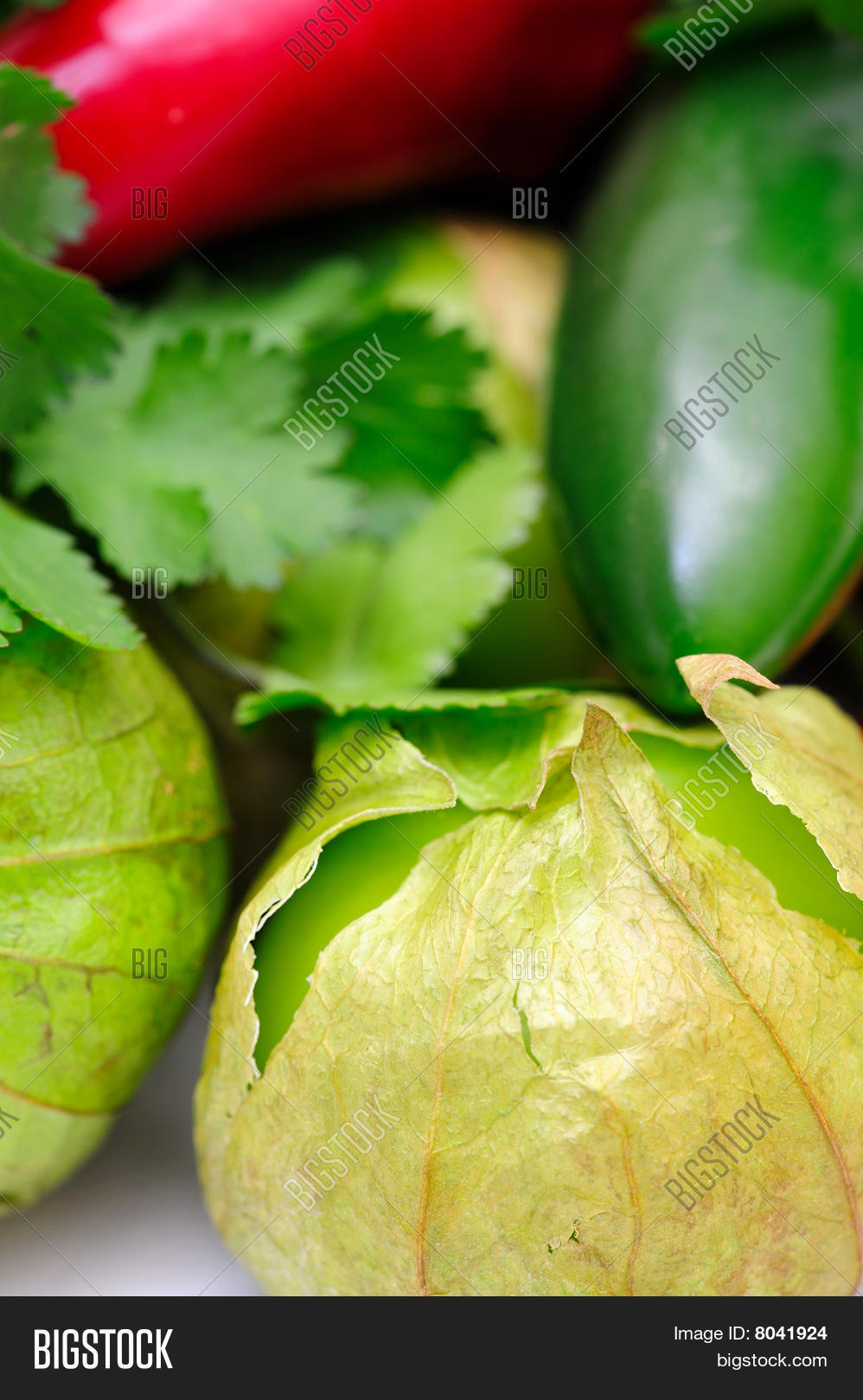 Chili Cilantro Image & Photo (Free Trial) Bigstock