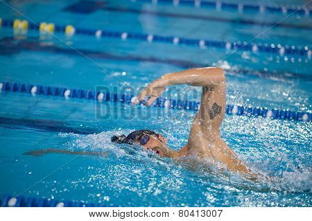 Milan - December  23:  Filippo Magnini  (italy)  Performing Freestyle In  Swimming Meeting Brema Cup