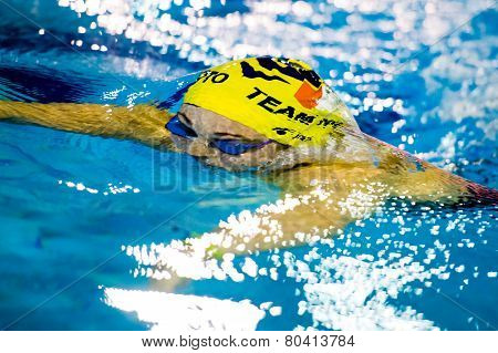 Milan - December  23:  F. Fangio  (italy)  Performing Breaststroke  In  Swimming Meeting Brema Cup O