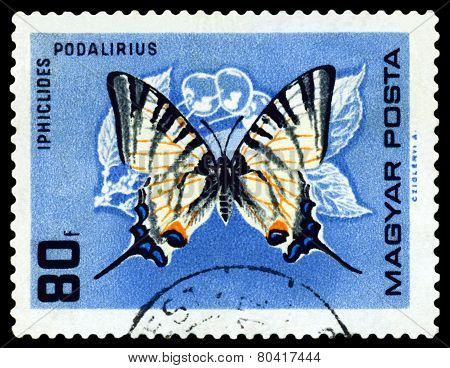 Vintage  Postage Stamp. Butterfly Iphiclides Podalirius.