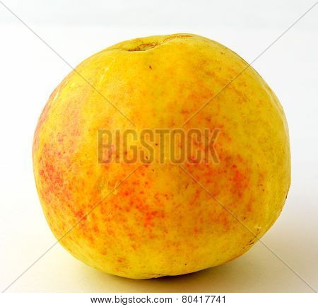 yellow guava fruit
