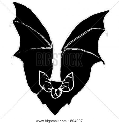 Pipistrello nero