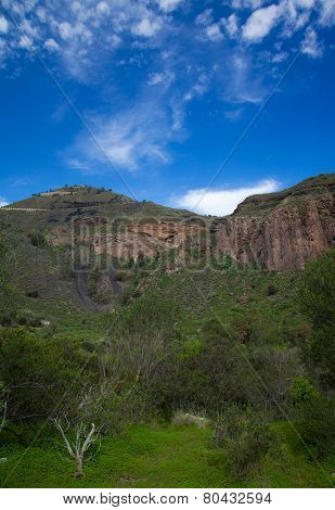 Gran Canaria, Caldera De Bandama After Winter Rains
