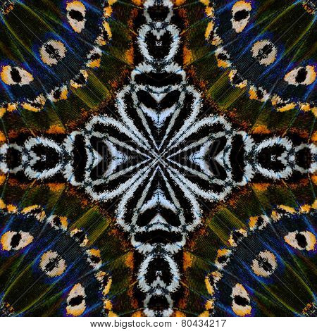 Close up of green and blue background pattern made from leopard lacewing butterfly wings skin texture