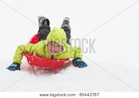 Boy On Sledge