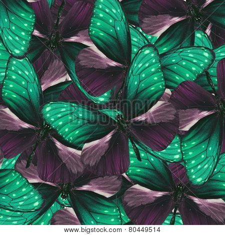 Exotic Green Background Textured From Stripe Blue Crow Butterflies