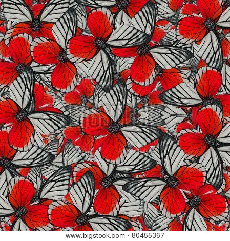 Exotic Of Red Background Pattern Made Of Red-spot Sawtooth Butterflies
