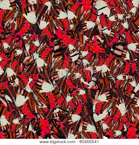 Exotic Of Red Five-bar Swordtail Butterflies Pile Up As A Nice Messy Background Texture