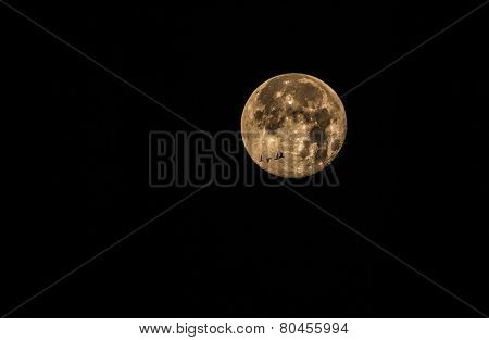Super Moon