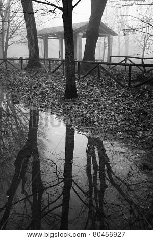 Winter scene