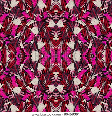 Exotic Red Background Pattern Made Of Fivr Bar Swordtail Butterflies