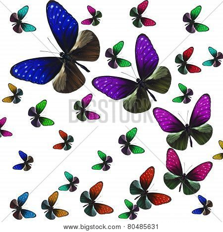 Beautiful Flying Stripe Blue Crow Butterflies In Various Fancy Color