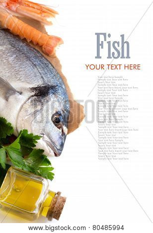 Fresh Dorado Fish, Olive Oil And Scampi