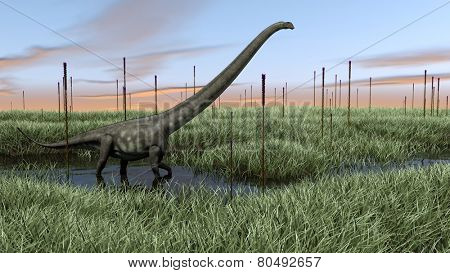 mamenchisaurus in swamp