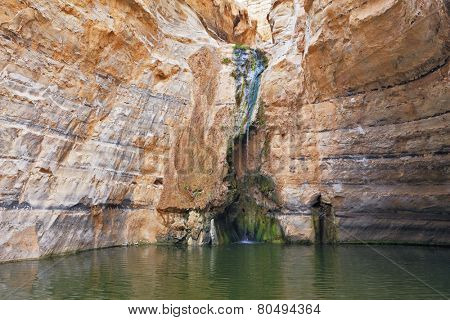 Canyon Ein Avdat in Israel. Thin jet waterfall form cold lake. Sandstone canyon walls form round bowl
