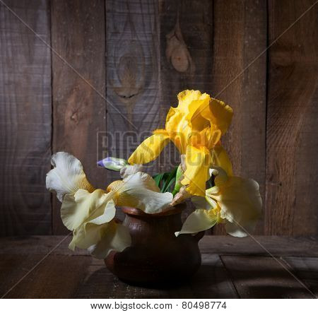  Three Irises in clay pot against old wooden wall