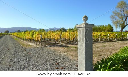Marlborough vinařství zobrazení