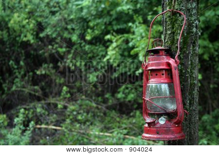 Red Lantern In Green Forest