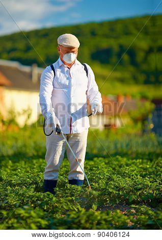 Man In Protective Clothes Spraying Insecticide On Potatoes