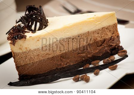 Slice of cocolate and vanilla mousse cake